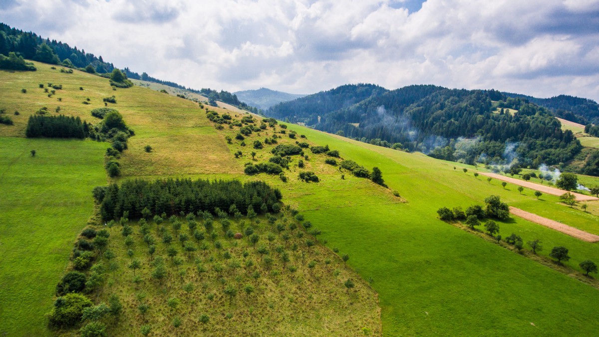 最全的车险购买指南,看完这篇就够了!