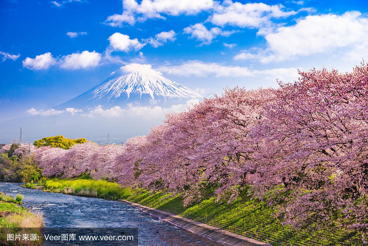 车险防灾防损常备物品清单