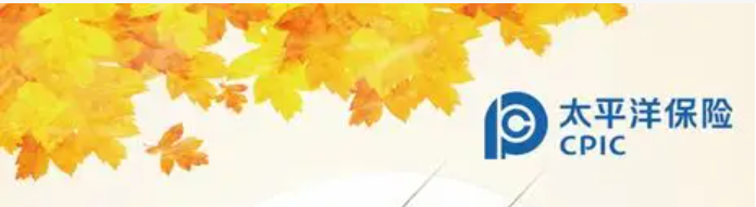 车辆保险到底怎么买?老司机一文带你搞懂,省心又省钱!